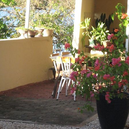 Le Cactus Guest House Baie-du-Tombeau Exterior foto