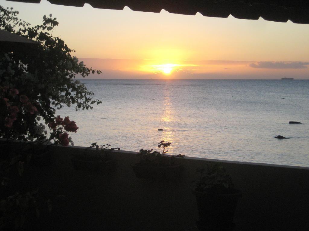 Le Cactus Guest House Baie-du-Tombeau Quarto foto