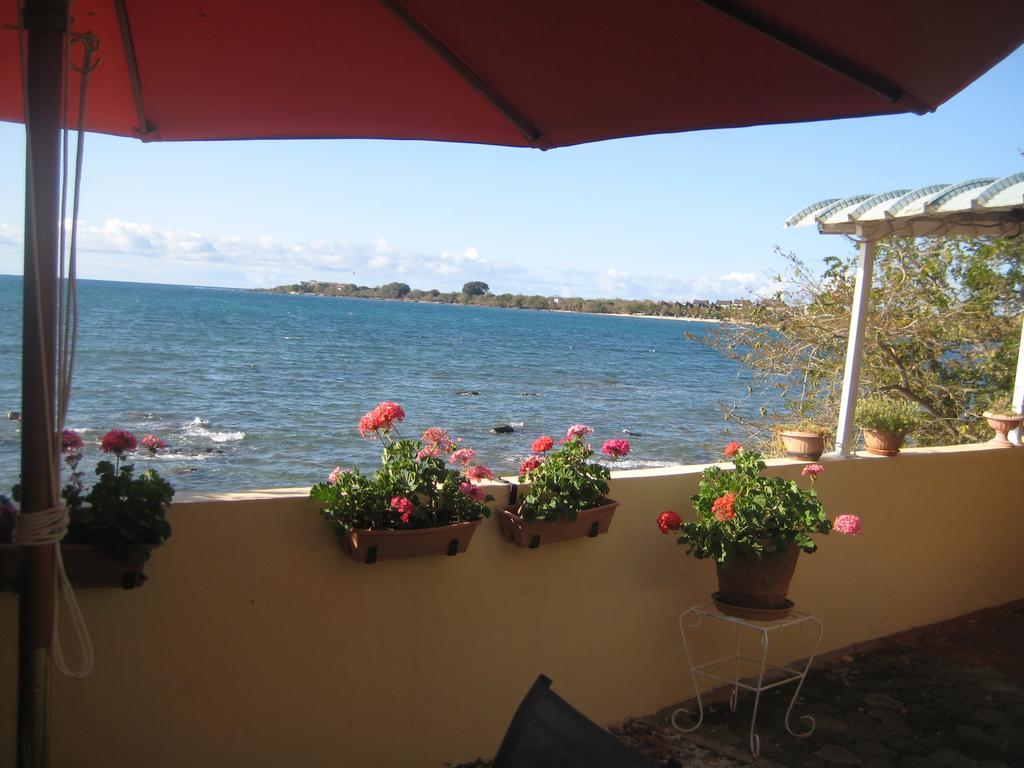 Le Cactus Guest House Baie-du-Tombeau Exterior foto