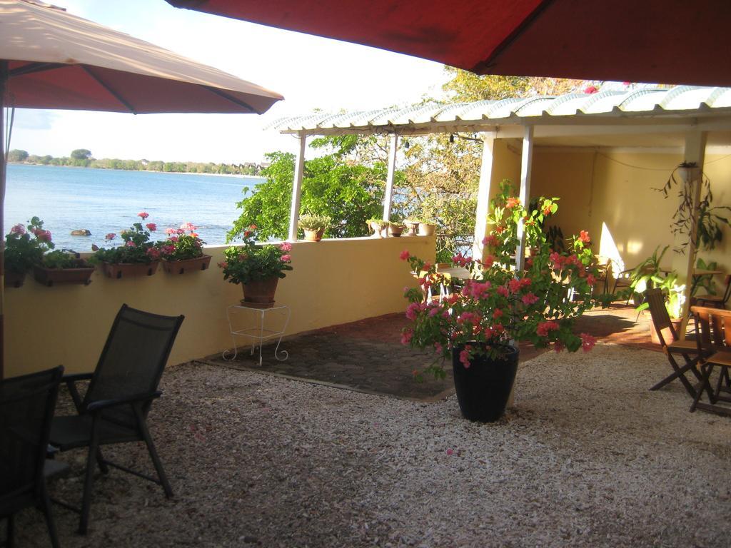 Le Cactus Guest House Baie-du-Tombeau Exterior foto