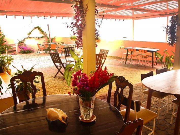 Le Cactus Guest House Baie-du-Tombeau Exterior foto