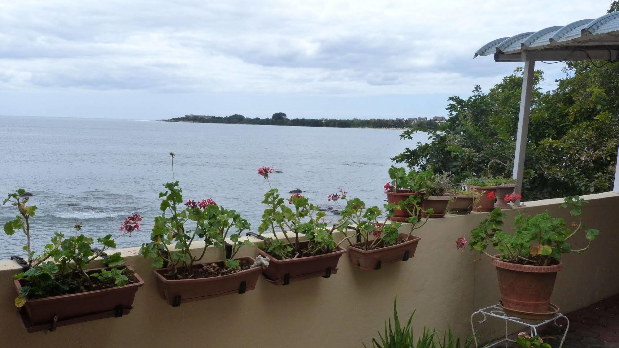 Le Cactus Guest House Baie-du-Tombeau Exterior foto